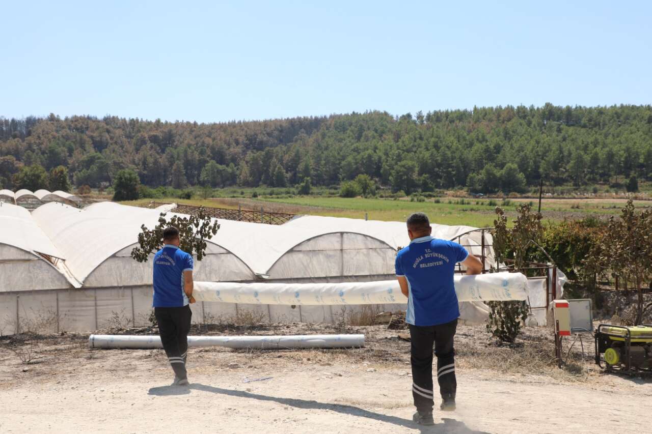 Seydikemer’de Yangının Ardından Üreticiye Hızlı Destek 5